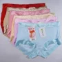 6 ngày nhỏ 8840 8833 đồ lót nữ bằng sợi tre eo giữa cỡ lớn ren nhỏ boyshort quần xì nữ