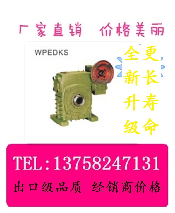 WPEDKS iron granules vertical double stage electrified machine flange input out of hole type worm gear Worm Rod Speed Reducer Variable-speed Machine
