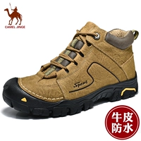 Giày cotton Jin Ge Camel nam mùa đông ấm áp cộng với da nhung nam thể thao ngoài trời không thấm nước giày cao cấp giản dị giày thể thao