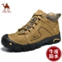 Giày cotton Jin Ge Camel nam mùa đông ấm áp cộng với da nhung nam thể thao ngoài trời không thấm nước giày cao cấp giản dị giày thể thao