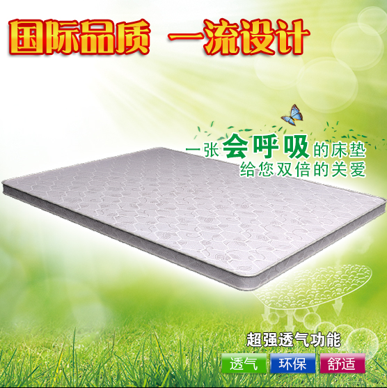 ��������鵴���QQ-001