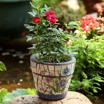 Factory direct sales American ceramic mosaic flower pots European courtyard floor-to-ceiling indoor flower Tank Multi-meat potted plants