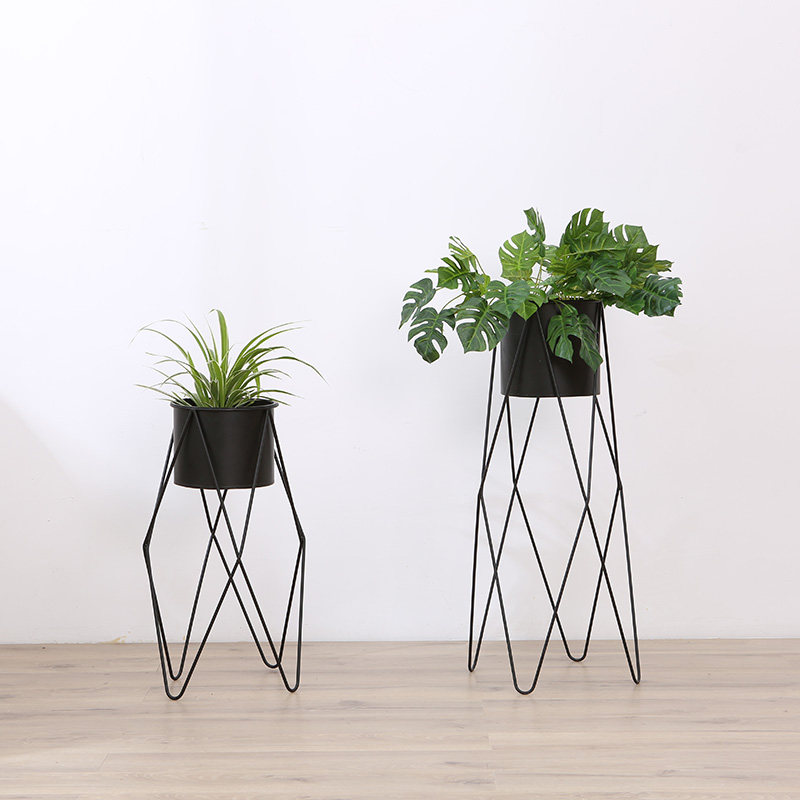 ���ɱ�ŷʦ��Լ������TOY88-705