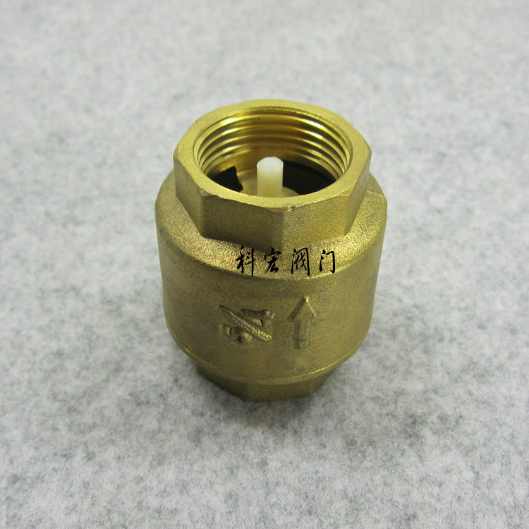 External trade tail quality and cheap brass spring vertical check valve one - way valve spring counter valve