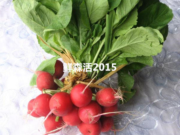Fresh cherry radish, mini radish, 7 taels, any 6 pieces in Beijing-Tianjin-Hebei