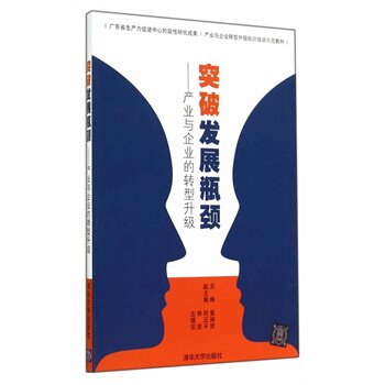 突破发展瓶颈——产业与企业的转型升级 黄炳贺