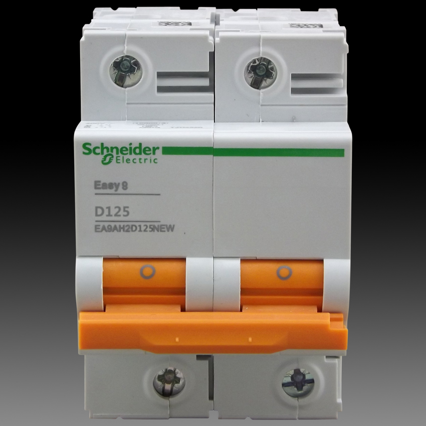 Schneider air switch E9 series breaker power D type bipolar 2P125A EA9AH2D125NEW-Taobao