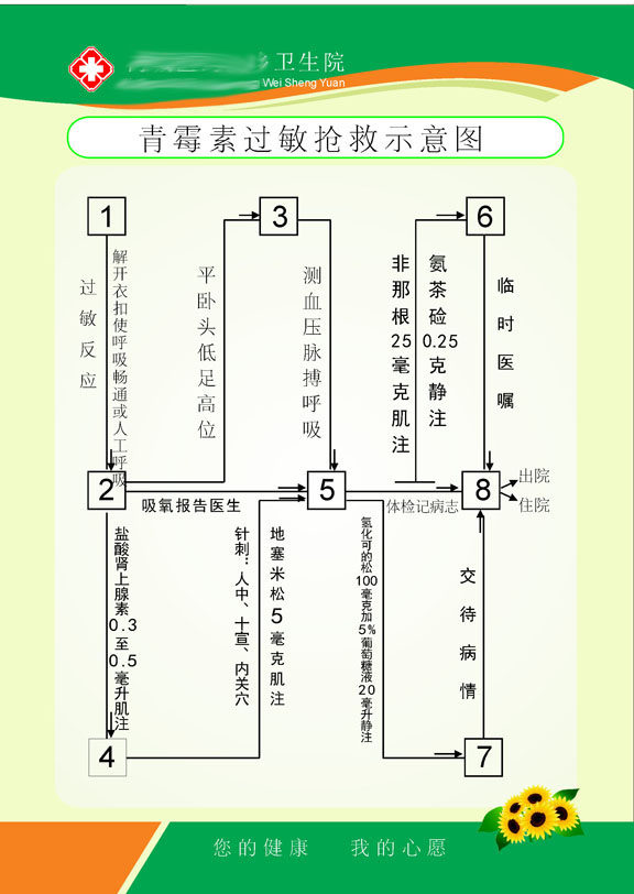597办公装饰海报展板素材265卫生院医院青霉素过敏抢救示意图