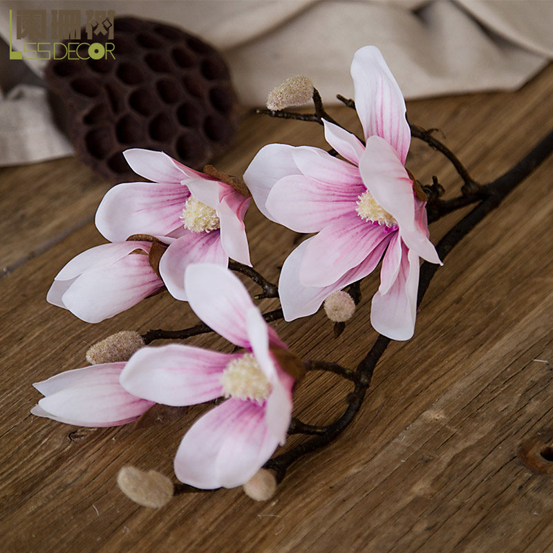 ��ɺ���չ�������֦F565