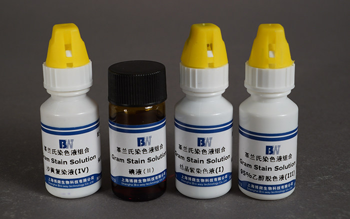 革兰氏染色液组合10ml&times;4 上海产 生化试剂 卫生检验系列培养基