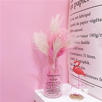 ins girl heart bedroom dreamy pink peacock feather glass bottle ornaments Net red shop room decorations
