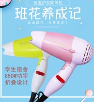 Student dormitory Folding portable hair care travel mini two-speed hair dryer Low power 800W hair dryer