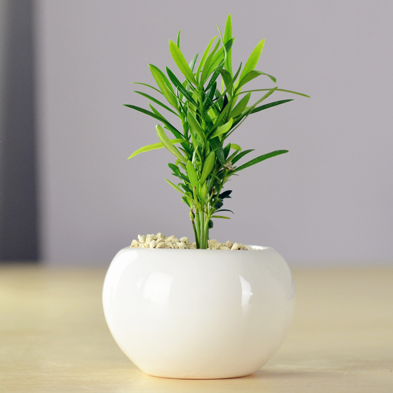 �Ӻ�Ե�޺����辰