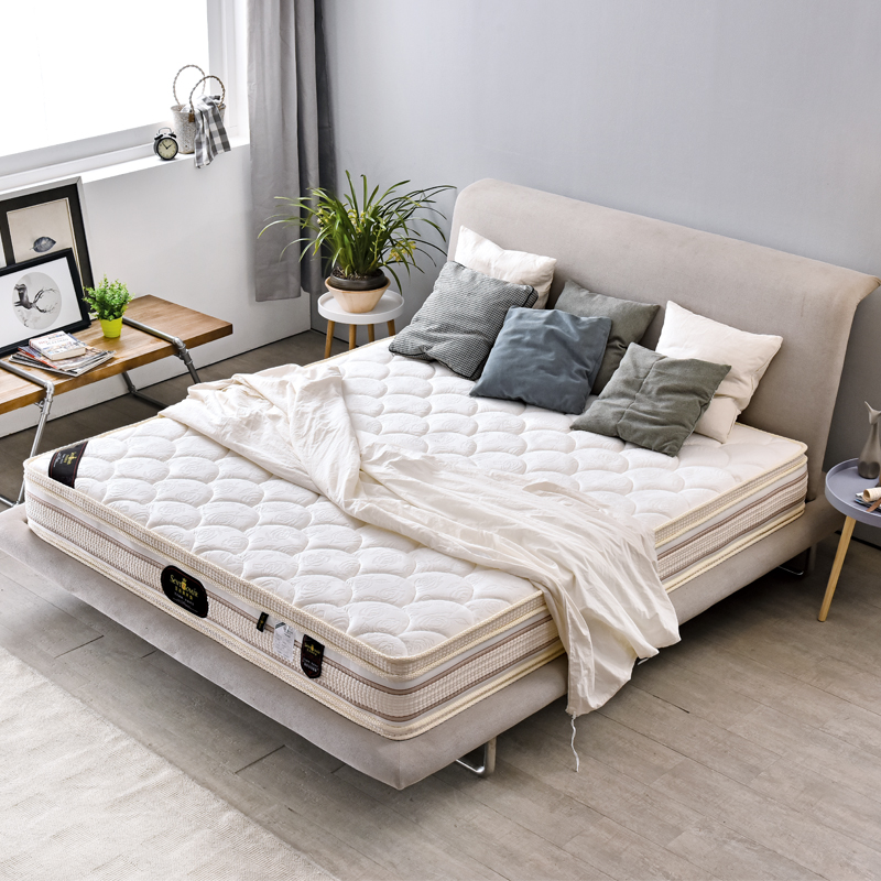 ʥ��������PC26