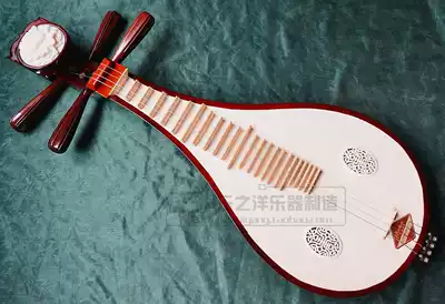 Lezhiyang special Mahogany Liuqin Beginner practice instrument Hardwood advanced head flower Liuqin  