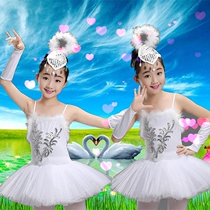 Childrens tutu tutu tutu Little swan dance skirt Princess skirt Girls performance suit Performance practice suit