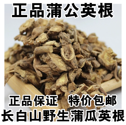 Long white mountain wild dandelion root Chinese herbal medicine yellow floral didgin 500 gr quality assurance