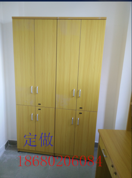 Guangzhou Shenzhen manufacturers direct sales storage cabinet File cabinet Custom cloth cabinet locker