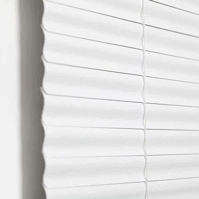 ��Ҷ��Ҷ��������SC-02