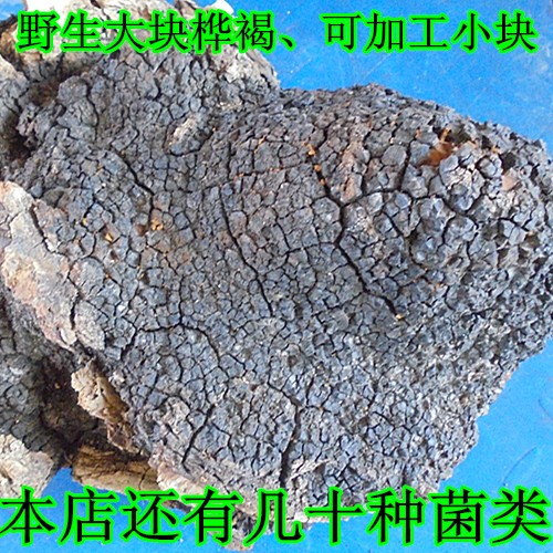 Selected Northeast Wild Mushrooms Chaga Velvet Chaga Laminaria Chaga Brown Birch Yellow Birch Tears 250g