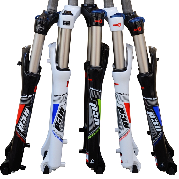 pasak fat bike fork
