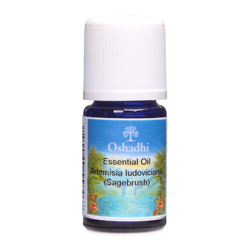 Oshadhi德国O家#1097银艾3ml