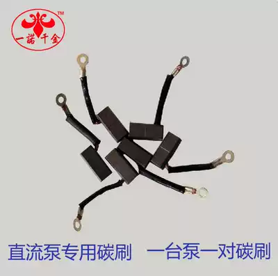 Factory direct 12V24V48V60V DC battery car water pump motor special carbon brush guarantee