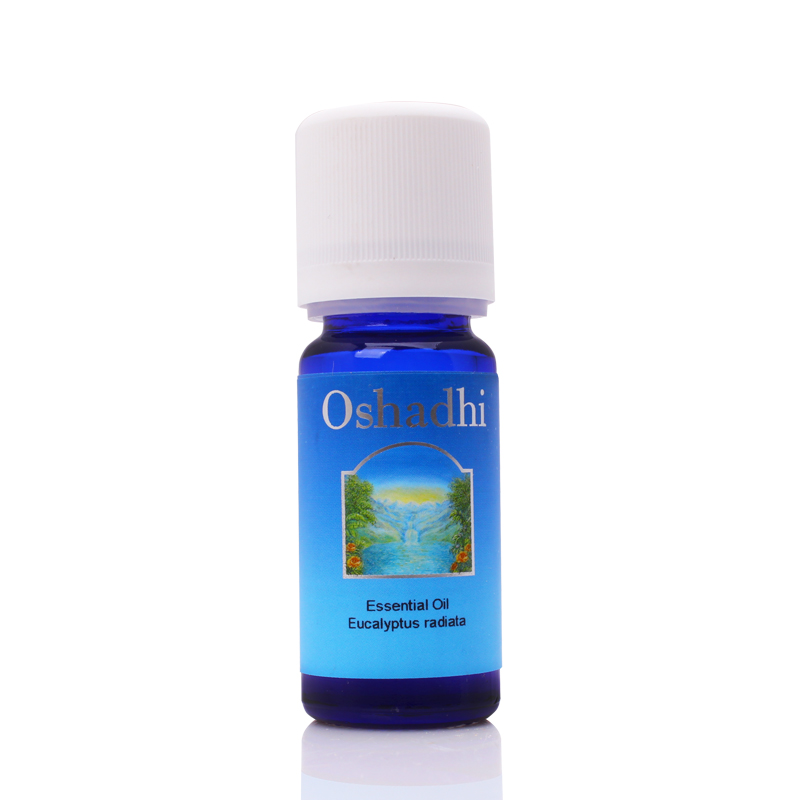 Oshadhi德国O家 #1400澳洲尤加利10ml
