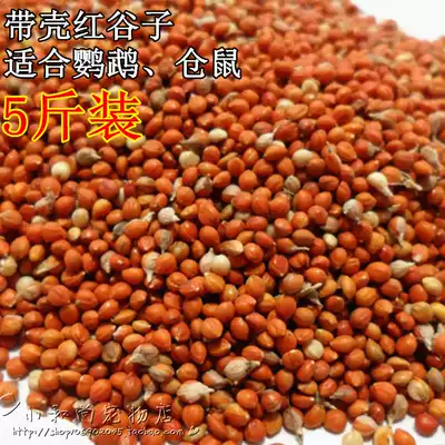 5kg of parrot bird food with Shell red millet brightening fur bird food bird food parrot Pearl hamster food