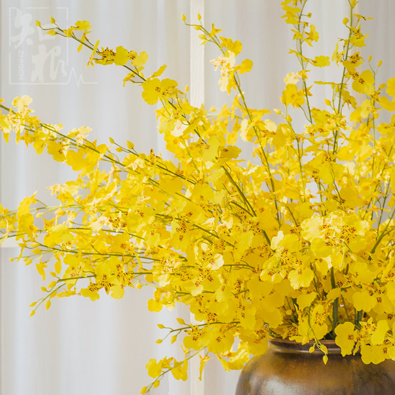 ֪���ٻ�������TWL-00