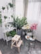 IKEA chính hãng trong nước mua ikea Leberg kệ tủ hoa kệ đứng kệ sách kệ lưu trữ giá - Kệ kệ giày gỗ Kệ