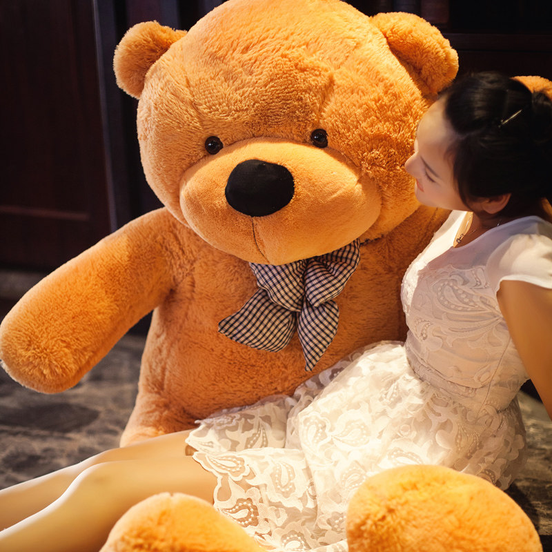 Teddy bear plush toy doll doll bear pillow doll hug bear birthday gift