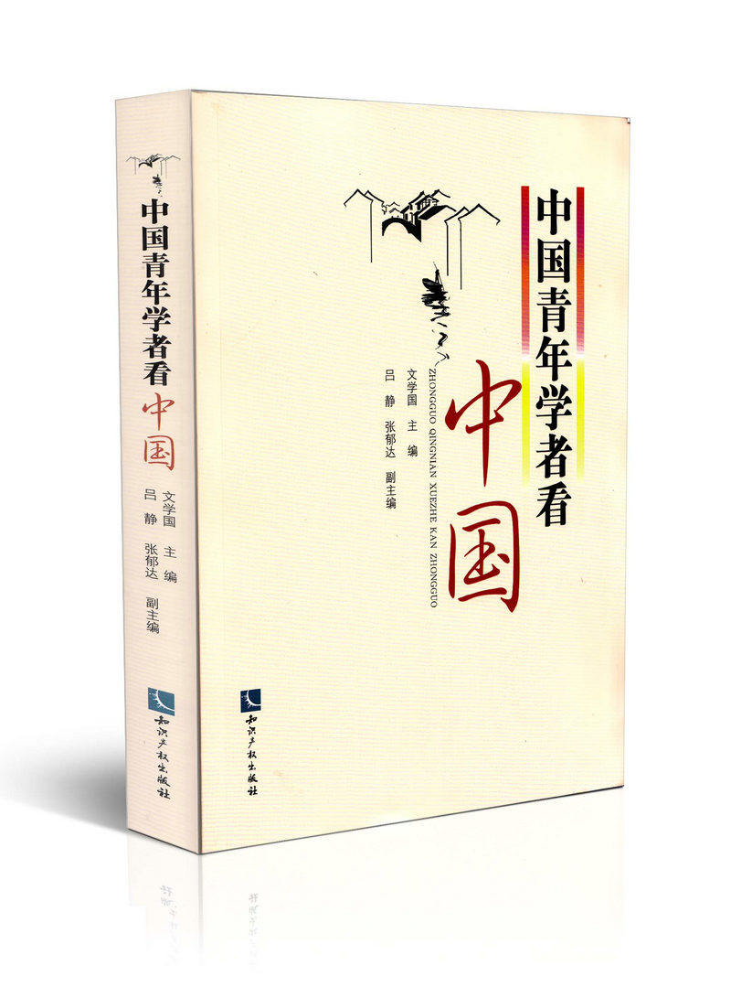 中国青年学者看中国