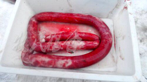 Inner Mongolia Yilun Bell fresh sheep blood sausage a (three from mail) or beef and mutton mixed together to fight ten pounds