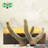 万河 Рога оленя, рога горного оленя Чанбайшань, обрезанные, первая стерня и две полоски, рога 15 юаней/г, одиночные 100-150 г