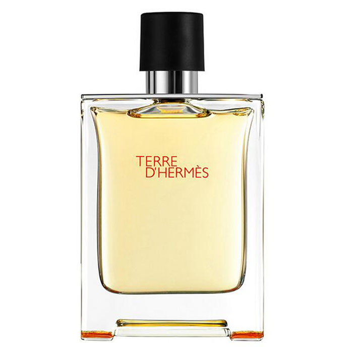 Hermes Parfums爱马仕Terre D'大地男士木质香水100ml简装