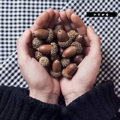 (North Flower Xishe)Acorn decoration hand-dried flower pendant Natural acorn literary and artistic dried flower dried fruit flower arrangement
