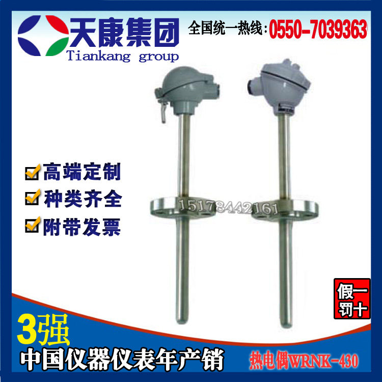 Anhui Tiankang Group Fixed flange type thermocouple WRN-430K indexing material stainless steel manufacturer direct