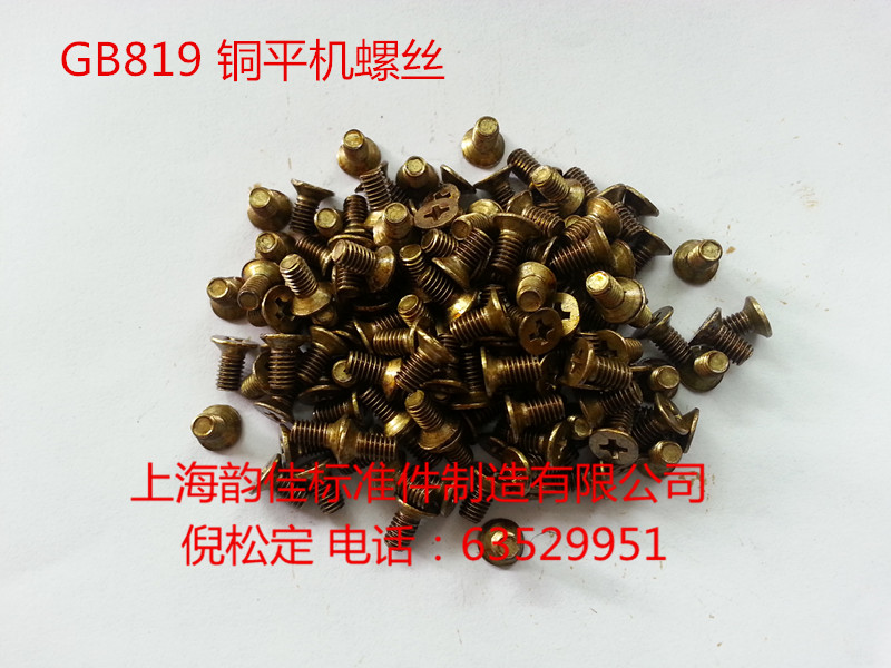 Copper flat machine screw GB819-76 M2 5 series (100 packs)