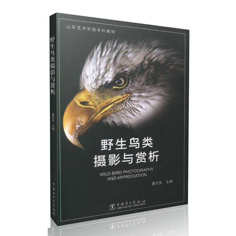 野生鸟类摄影与赏析