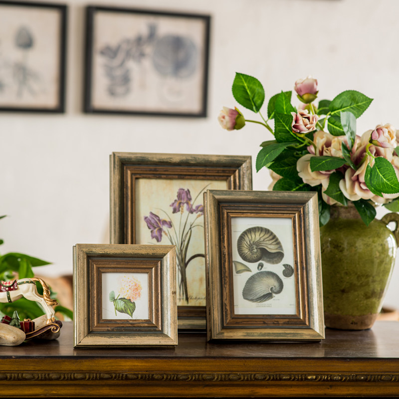 ���뻨��ʵľ�������XK055