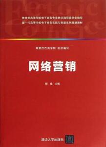 网络营销(新一代高等学校电子商务实践与创新系列规划教材)