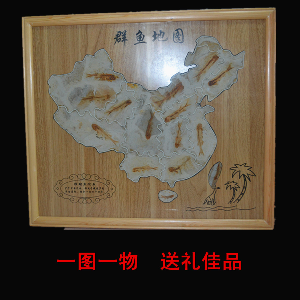 Boutique Liaoxi Chaoyang Ancient Bio Fish Fossil Specimen Process Jigsaw Puzzle Fine Mount Gift Jiao Pine map pendant