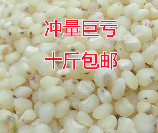 The food and forest government high beam rice northeast gaoliang rice white high beam rice large sorghum rice miscellaneous grain