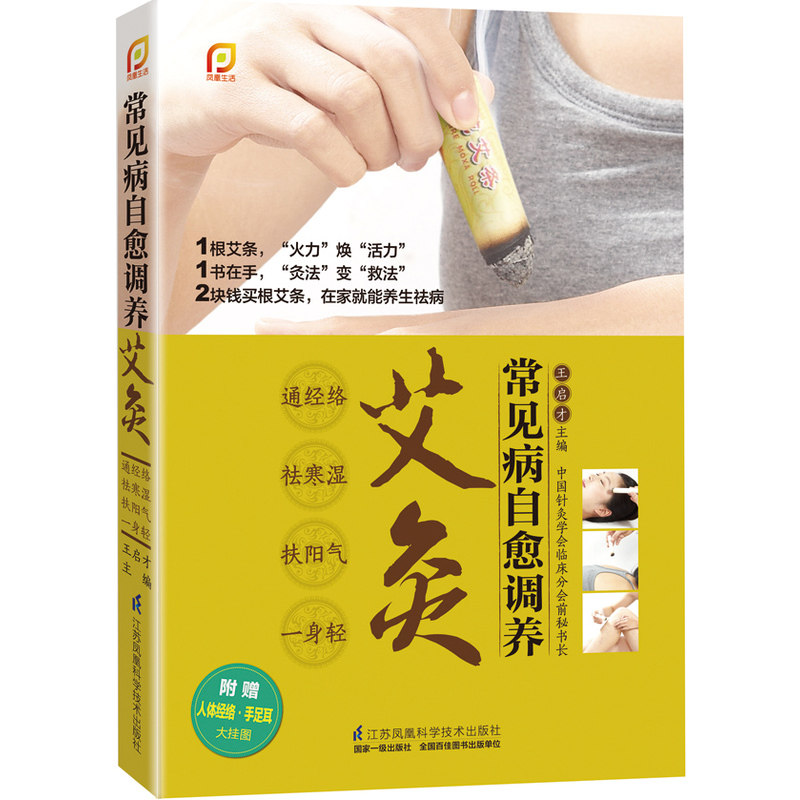 常见病自愈调养艾灸 居家保健福音 各科常见疾病的家庭保健宝典 家庭医生 艾灸疗法实用学习参考用书 中医养生保健书籍 正版图书