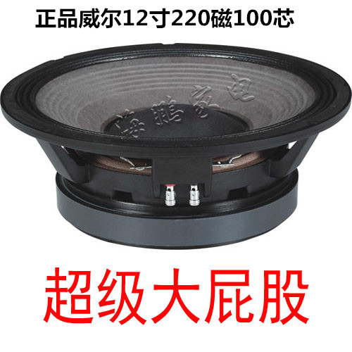 Weier 12RH-12A 12 inch 100 core 220 magnetic pure flat wire professional stage 12 inch subwoofer