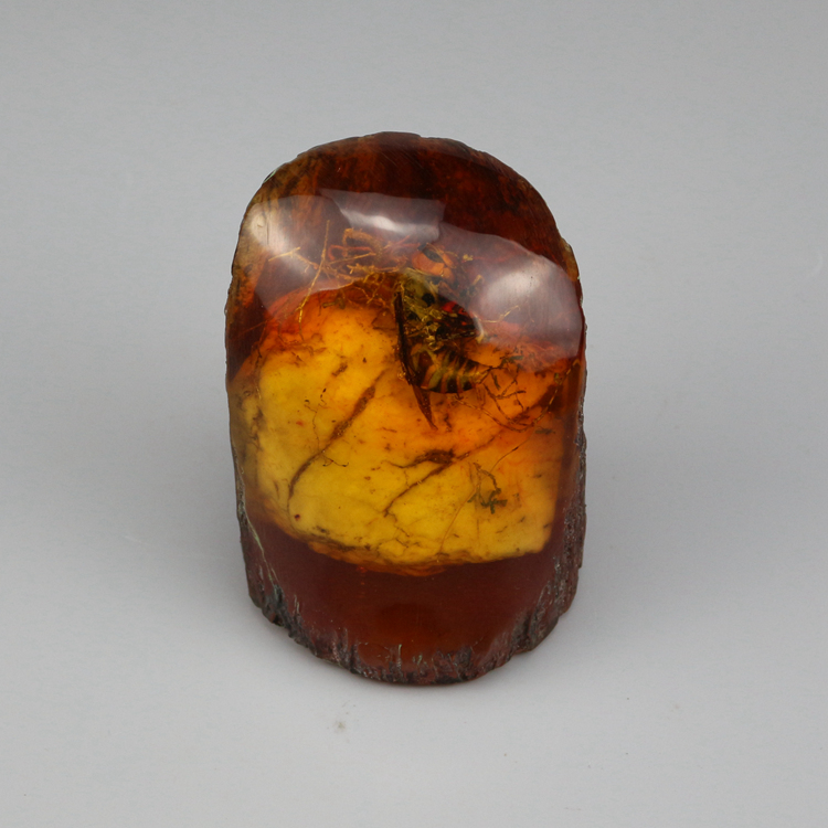 Bee natural amber with insect craft gift ornament Insect live artificial ornament