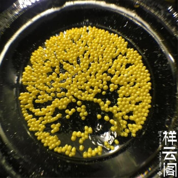 Myanmar's Mithira Sakyamuni Buddha Golden Gu solid son RMB38  10 1MM for shalitarga box