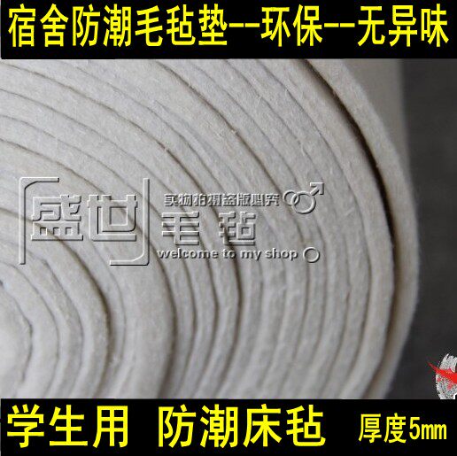 High-grade thickened student dormitory moisture-proof bed mat felt bed mat single bed mat 5mm10mm Environmental protection without odor
