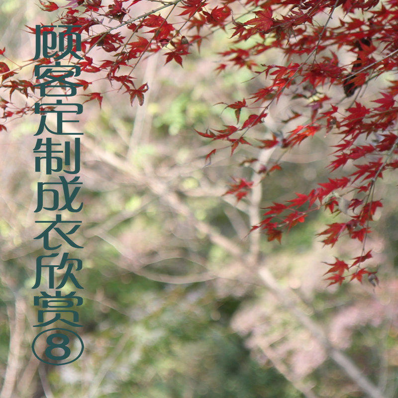 The most beautiful time (8) customer customised garments to appreciate